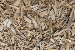 biomass boilers Upwood